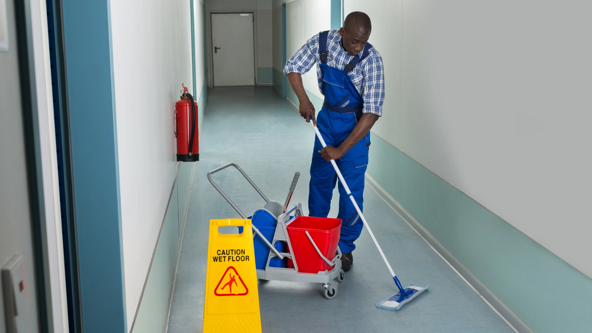Oven & BBQ Cleaning Melbourne