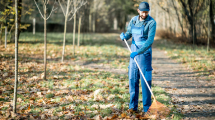 Professional cleaning and property services in Middle Park Melbourne