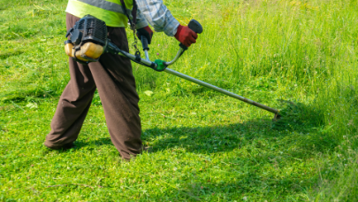 Professional cleaning and property services in Parkville Melbourne
