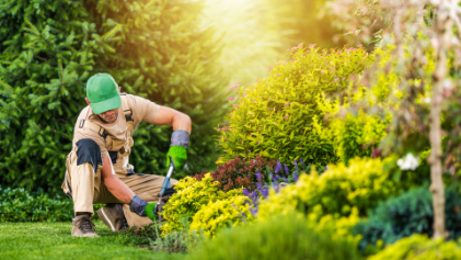 Professional cleaning and property services in Eltham Melbourne